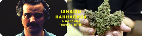 круглые Абаза