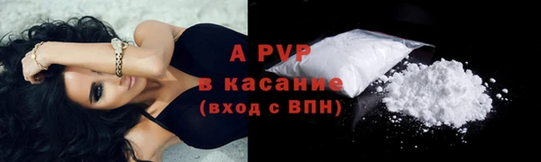 СК Абинск