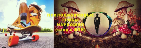 СК Абинск