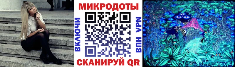 как найти   Клинцы  Псилоцибиновые грибы Magic Shrooms 